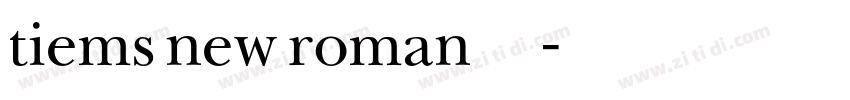 tiems new roman 斜体字体转换